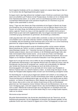 Durch tragische Umst&auml;nde und f&uuml;r uns unfassbar mussten wir