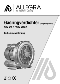 Gasringverdichter (Ring Kompressor)