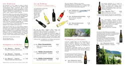 PDF-Datei herunterladen