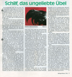Schilf, das ungeliebte Übel