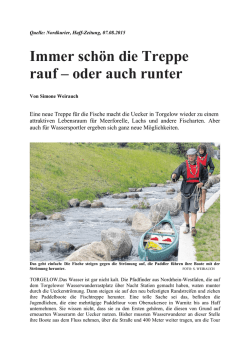Immer sch&ouml;n die Treppe rauf &ndash; oder auch runter