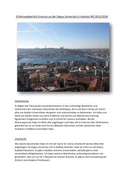Erfahrungsbericht Erasmus an der Dogus University in Istanbul WS