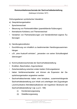 Sachverhaltsschemata