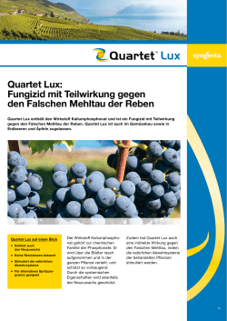 Quartet Lux: Fungizid mit Teilwirkung gegen den Falschen Mehltau