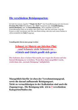 Die verschiedene Reinigungsarten: Schmutz ist Materie am falschen