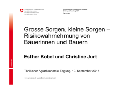 Grosse Sorgen, kleine Sorgen &ndash; Risikowahrnehmung