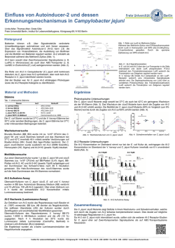 Einfluss von Autoinducer-2 und dessen Erkennungsmechanismus in
