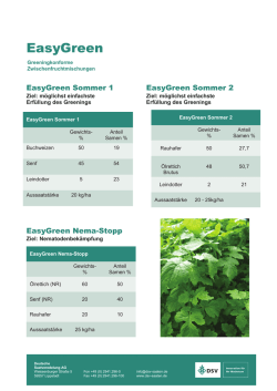 DSV Easy Green Zwischenfruchtmischungen