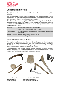 Dokumentation Steinzeitkoffer