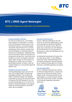 GRID Agent Netzregler