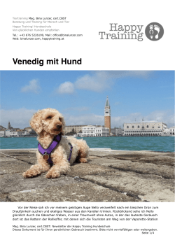 Venedig mit Hund - HappyTraining.at