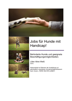 Jobs f&uuml;r Hunde mit Handicap!