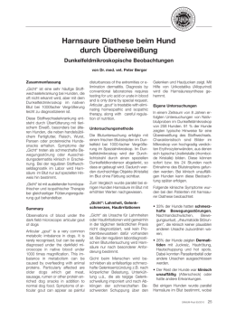 Harnsaure Diathese beim Hund durch &Uuml;bereiwei&szlig;ung - DOG