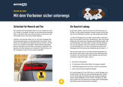 Hunde im Auto - Motor-Talk