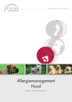 Allergiemanagement Hund