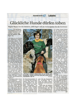 Glückliche Hunde dürfen toben