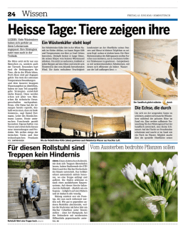 Heisse Tage: Tiere zeigen ihre coolen Trick