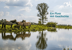 Ein Fluss mit Geschichte