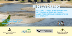 im Fluss &ndash; Revitalisierung von Flussauen