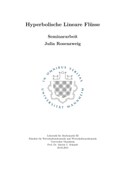 Hyperbolische Lineare Fl&uuml;sse - Lehrstuhl f&uuml;r Mathematik III