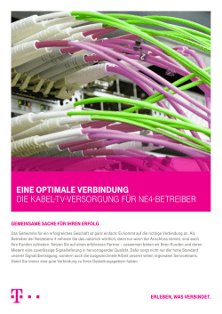 EinE optimalE VErbindung Die Kabel-tv-versorgung f&uuml;r ne4
