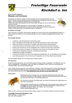 Wespen und Hornissen