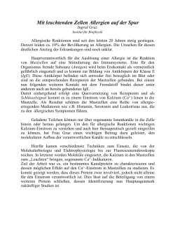 Die vorliegende Diplomarbeit besch&auml;ftigt sich mit der Untersuch