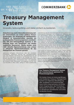 Treasury Management System - Firmenkundenportal