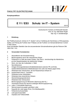 E 11 / ES3 Schutz im IT &ndash; System