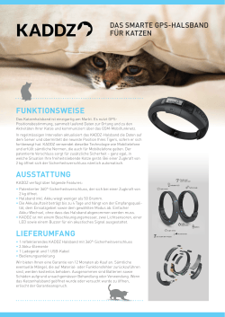 KADDZ – das smarte GPS Halsband für Katzen