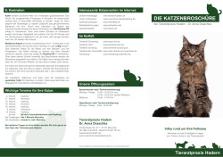Flyer: Katze - Tierarztpraxis Hadern