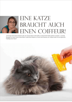 EIN E KATZE BRAUCHT AUCH EINEN COIFFEUR!