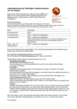 Impfschema Katze - Ihr Tierarzt in Steglitz