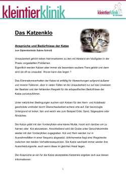 Der Katzenklo-Survival-Guide – Ansprüche und Bedrürfnisse der