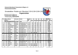 Grosskaliber- Pistole und -Revolver 2.53+2.55+2.58