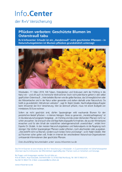 Pflücken verboten: Geschützte Blumen im Osterstrauß tabu (PDF