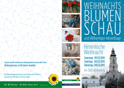 Programm der Adventtage