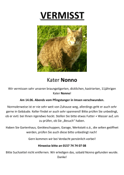 braun-getigerter Kater Nonno aus Imsen vermisst