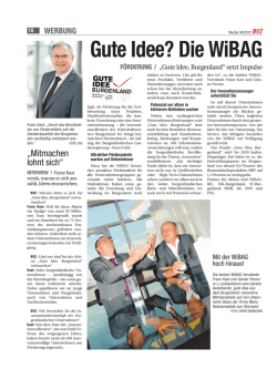 Die WiBAG - Gute Idee Burgenland