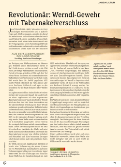 Revolutionär: Werndl-Gewehr mit Tabernakelverschluss