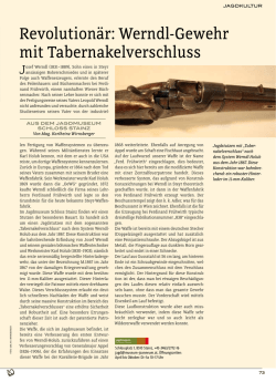 Revolution&auml;r: Werndl-Gewehr mit Tabernakelverschluss