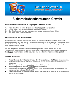 Sicherheitsvorschriften Gewehr - Schiessverein Zürich Wollishofen