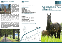 Flyer - Klinik f&uuml;r Pferde auf Boyenstein