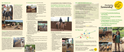 • Coaching/Persönlichkeitsbildung mit Pferden • Ausbildung von