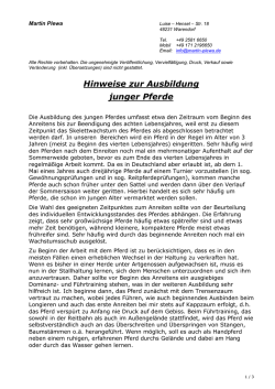 Hinweise zur Ausbildung junger Pferde
