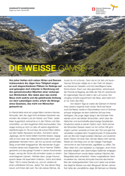 DIE WEISSE G&Auml;MSE