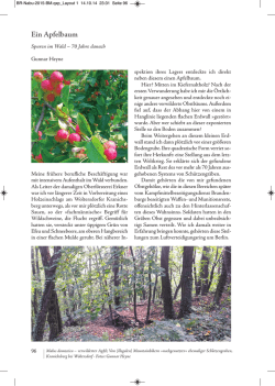 Heyne, Gunnar_Spuren im Wald, 70 Jahre