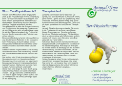 mein Tier-Physiotherapie-Flyer - Animal-Time