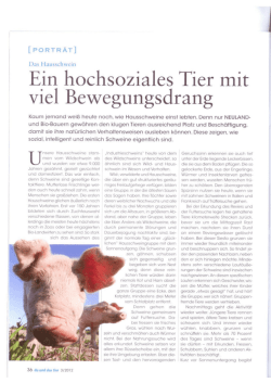 Ein hochsoziales Tier mit