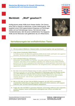 Merkblatt Wolf - Hess. Ministerium f&uuml;r Umwelt, Klimaschutz